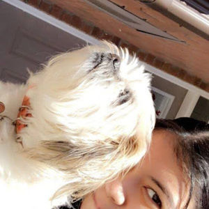 Meet your Posher, Kat